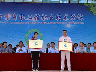 公司在学校第十五届运动会荣获精神文明奖